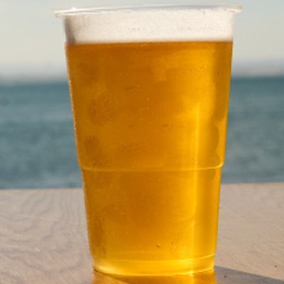 Pint Glass